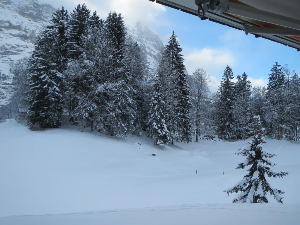 Mom - Alpine Boutique Apartments, Grindelwald Gletscher, Eiger View Terrace Studio 객실 사진