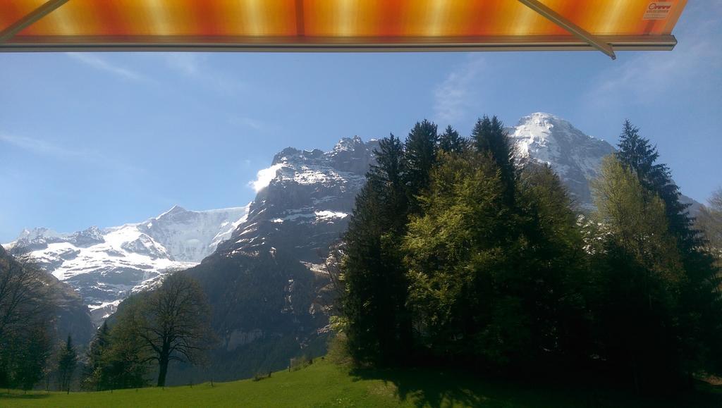 Mom - Alpine Boutique Apartments, Grindelwald Gletscher, Eiger View Terrace Studio 객실 사진