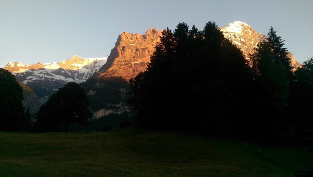 Mom - Alpine Boutique Apartments, Grindelwald Gletscher, Eiger View Terrace Studio 객실 사진