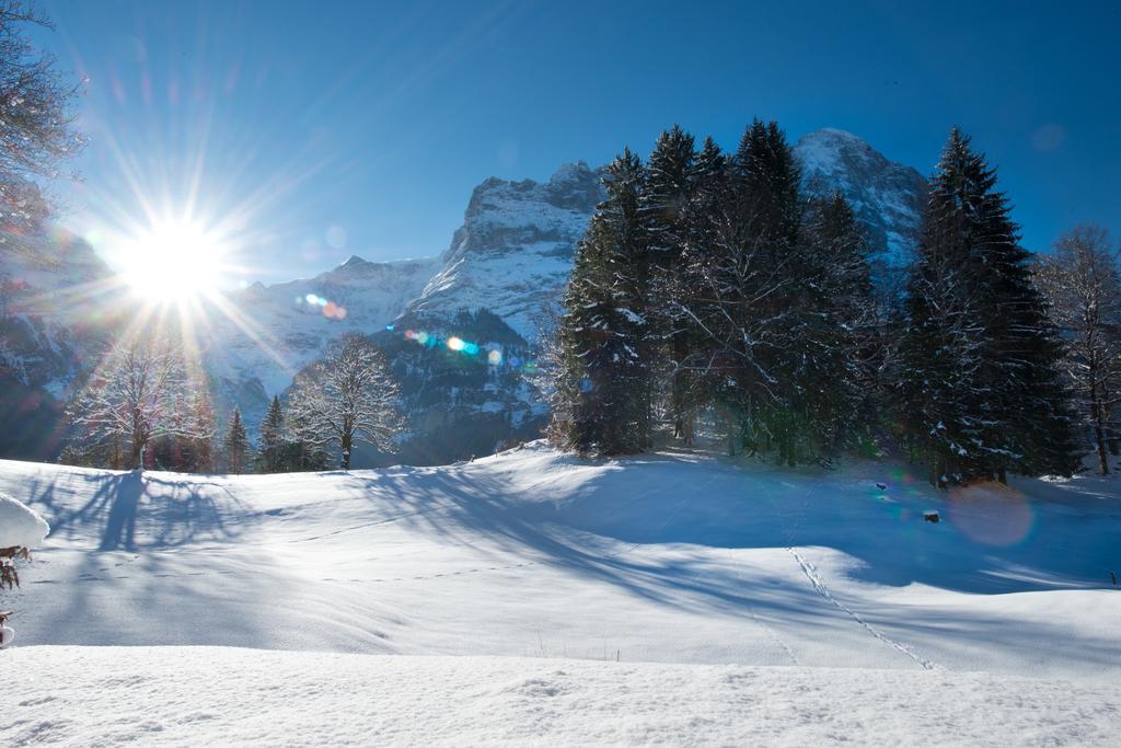 Mom - Alpine Boutique Apartments, Grindelwald Gletscher, Eiger View Terrace Studio 객실 사진